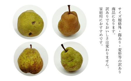 【2026年発送 先行予約】訳あり ラ・フランス 5kg 14～32玉 なし ナシ 梨 デザート フルーツ 果物 くだもの 果実 食品 山形県 FSY-0697