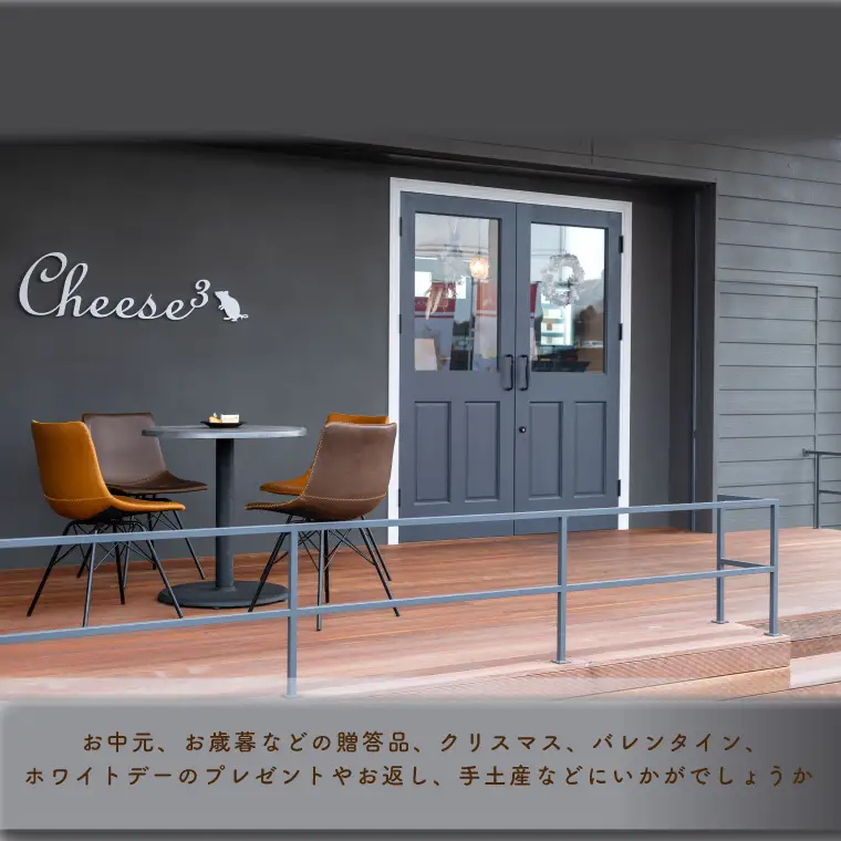 ベイクドチーズケーキ 3層のNYチーズケーキ 冷凍 ハーフ＆ハーフ CP001