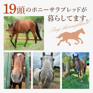 厩務員チャレンジコース（240分）（EY-2）