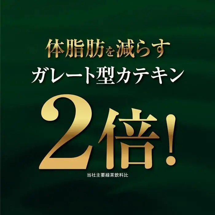【2026年3月1日～価格改定】【機能性表示食品】お～いお茶 濃い茶 600ml×2ケース 48本 おーいお茶