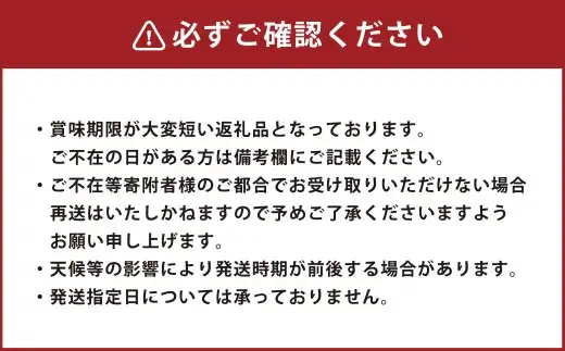 シャインマスカット 晴王（特大房）2房入り（合計約2kg）【2026年9月上旬～11月上旬発送予定】【シャインマスカット 果物 フルーツ 国産 人気 おすすめ 岡山県 倉敷市】
