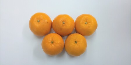 【2027年先行予約】訳あり ポンカン 5kg ご家庭用 みかん 人気 数量限定 先行予約 柑橘 伊予市 【2027年1月中旬以降順次発送】｜B147