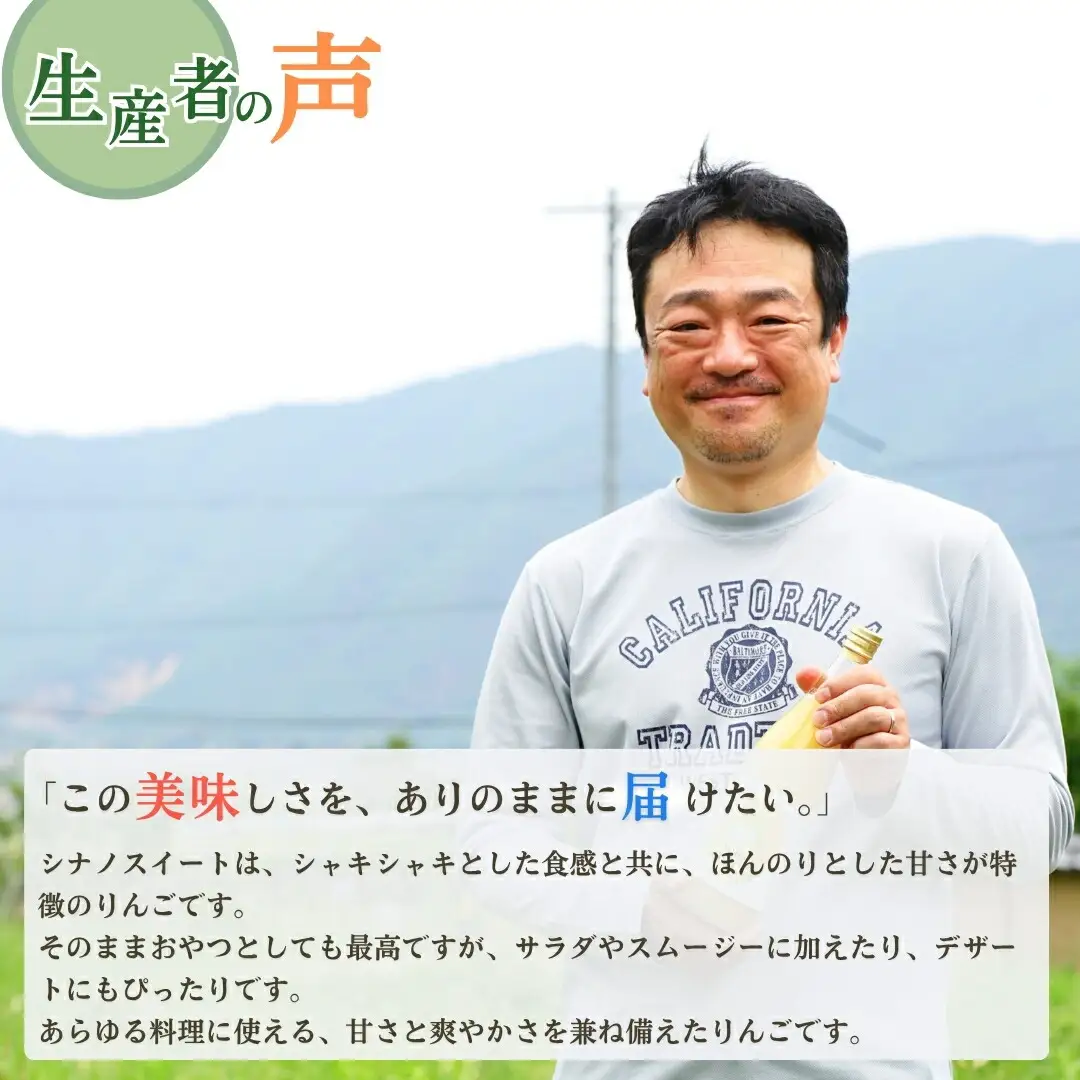【2026年先行予約】りんご シナノスイート 12~20玉 約5kg|りんご
