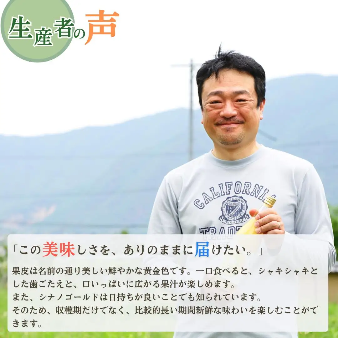 【2026年先行予約】りんご シナノゴールド 6~10玉 約3kg|シナノゴールドド