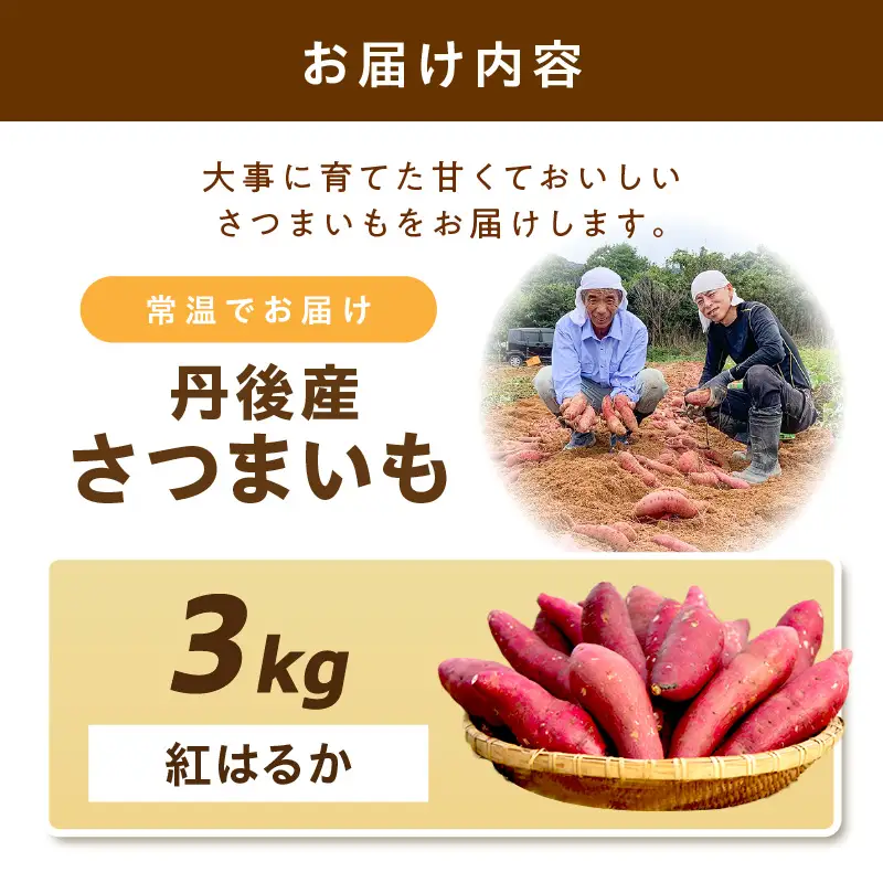 【先行予約】丹後産　さつまいも　紅はるか3kg　2027年3月上旬～配送　お野菜 野菜 正規品 ふるさと納税 さつまいも ふるさと納税 紅はるか べにはるか 甘い