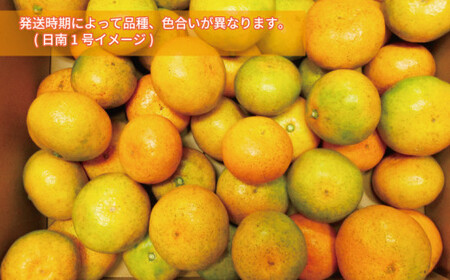 極早生みかん 5kg 先行予約 栽培期間中 農薬 化学肥料 除草剤 不使用 なかい果樹園 極早生みかん B012-144001
