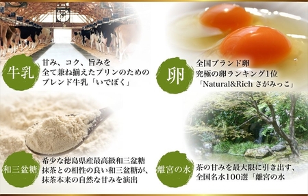 【 プリン 】 人気フレーバー 12種 × 3セット 36個 プリン