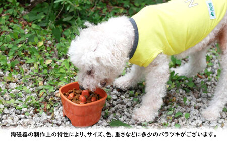 【美濃焼】 陶器製ペット用フードボウル 早食い防止 高台フードボウル 小 イエロー pet109 瑞浪市 / ながしまプランニングオフィス エサ入れ 餌皿 犬 猫 [AZBM003]
