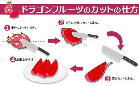 2026年発送【奄美産】レッドドラゴンフルーツ 約2kg（5～8玉入り）果物 フルーツ
