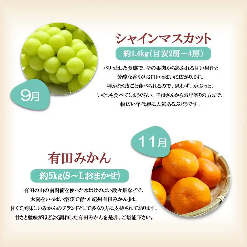 【定期便全6回】 有田川町の旬のフルーツをお届け！