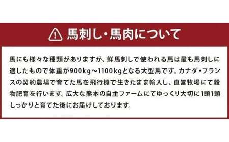 6種馬肉バラエティ 約520g (赤身切り落とし・コウネ・フタエゴダイス・線切り(ユッケ)・桜うまトロ・馬肉ハンバーグ) 