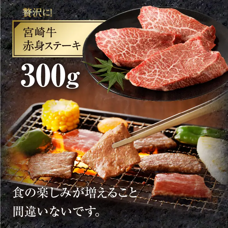 宮崎牛 ヘルシー赤身定期便 全4回 ステーキ スライス 焼肉