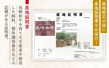 牛肉 長崎和牛 焼肉・鉄板焼用 約500g[OAA014] 牛肉焼肉