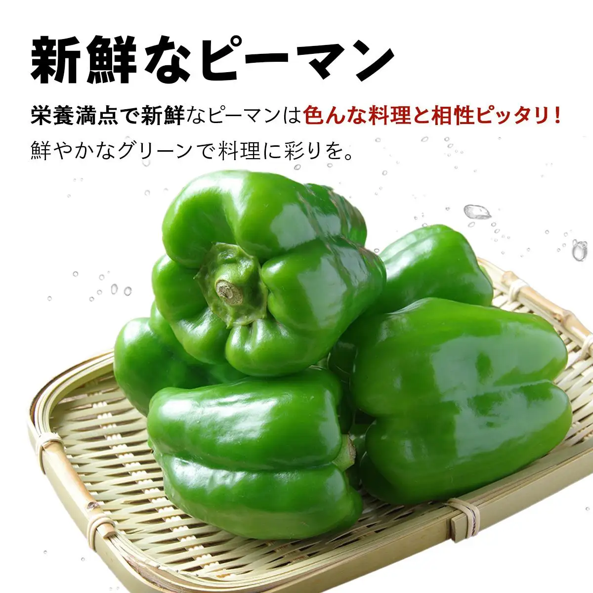＜先行予約＞北海道伊達産 大滝農園 甘唐辛子「松の舞」・ピーマン セット 約計2kg 野菜