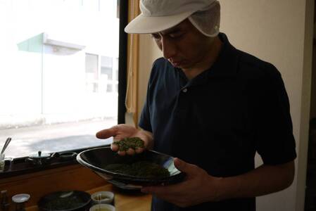 098-1 【5月より新茶出荷】 牧之原産 おいしい 新茶 5本 セット お茶 茶 深蒸し 煎茶 旬 日常 のし 熨斗 贈答 ギフト 静岡県 牧之原市 澤田行平商店