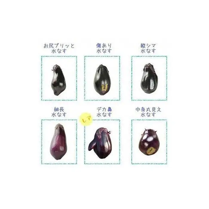 ワケあり水なす２０個
