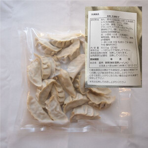 大きめ居酒屋餃子　600g　九州・沖縄配送不可【AN-001】