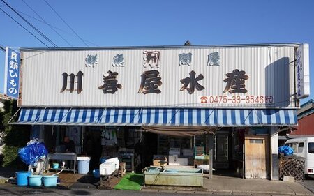 九十九里産 大粒 天然はまぐり1.5kg SHF001 ／ 絶品天然はまぐり 万能食材天然はまぐり 九十九里産天然はまぐり 蛤 ハマグリ海鮮 貝 貝類