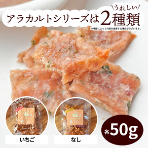 愛犬の手作りおやつ 大袋5点セット　全犬種対象 鹿肉 ペット ペットフード ジャーキー チップス 詰め合わせ Wanfood BULAN DK-0002
