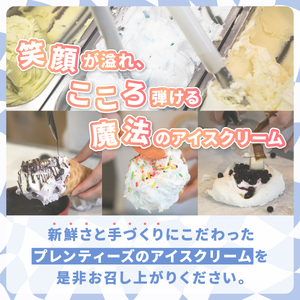 プレンティーズ アイスクリーム＆ワッフルセット 各5個 計10個 アイス バニラ 生チョコ ストロベリー クリームチーズ ミルク オリジナルクッキーワッフル ダブルショコラ アールグレイ チョコレート 送料無料 神奈川県 茅ヶ崎市 のし有
