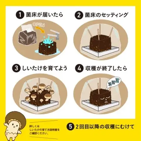 神河しいたけ栽培キット(しいたけ菌床)1個と乾しいたけセット　※5月～10月順次発送【配送不可地域：離島】【1411537】