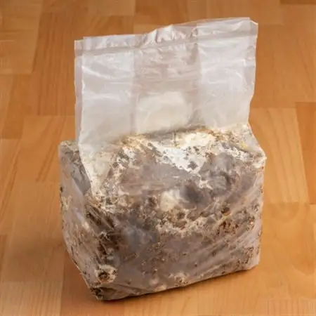 神河しいたけ栽培キット(しいたけ菌床)1個と乾あらげきくらげ・しいたけ粉セット※5月～10月順次発送【配送不可地域：離島】【1411540】