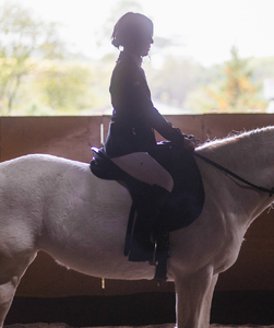 馬と撮影 カジュアルプラン [0092]