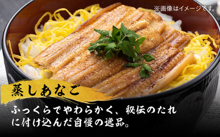 【全6回定期便】対馬産 べっぴん あなご 詰め合わせ  対馬 新鮮 穴子 刺身 海産物 魚介  [WAQ005]