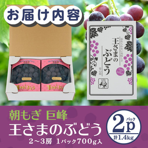 ＜先行予約受付中！2026年8月上旬以降順次発送予定＞王さまのぶどう 朝もぎ 巨峰(計1.4kg・700g×2パック)国産 ぶどう 葡萄 フルーツ 果物 くだもの 果実 セット【100702400】【宮田ファミリーぶどう園】