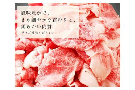 豊後牛 切り落とし(計900g・約300g×3個)牛肉 お肉 こま切れ 冷凍 和牛 国産 大分県産【106400400】【まるひで】