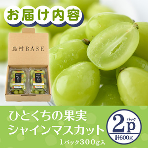 ＜先行予約受付中！2026年8月上旬以降順次発送予定＞ひとくちの果実 シャインマスカット(計600g・300g×2パック)国産 ぶどう 葡萄 フルーツ 果物 くだもの 果実【100702300】【宮田ファミリーぶどう園】