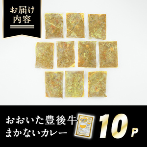肉屋のまかない豊後牛カレー(計2.3kg・230g×10P) カレー レトルト レトルトカレー 簡単調理 湯煎調理 ビーフカレー おおいた豊後牛 ご当地カレー【110200201】【吉野】
