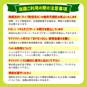アフリカンサファリ入園券とオリジナルクリアファイルのセット(入園券(大人3枚)とクリアファイル)チケット 動物園 サファリパーク形動物園 家族旅行 デート 観光【110601200】【九州アフリカ・ライオン・サファリ】