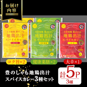 大分地鶏豊のしゃも地鶏出汁スパイスカレー(計900g・180g×5パック)レトルト 簡単調理 惣菜 時短 常温 ご当地カレー【112400301】【天峯ファーム】
