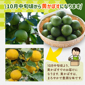 ＜先行予約受付中！2026年8月上旬以降順次発送予定＞露地カボス(約10kg)かぼす カボス 柑橘 特産品 大分県産【107100803】【あいはな農園】