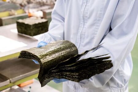 初摘み海苔 F-SAY-48 (H029109)