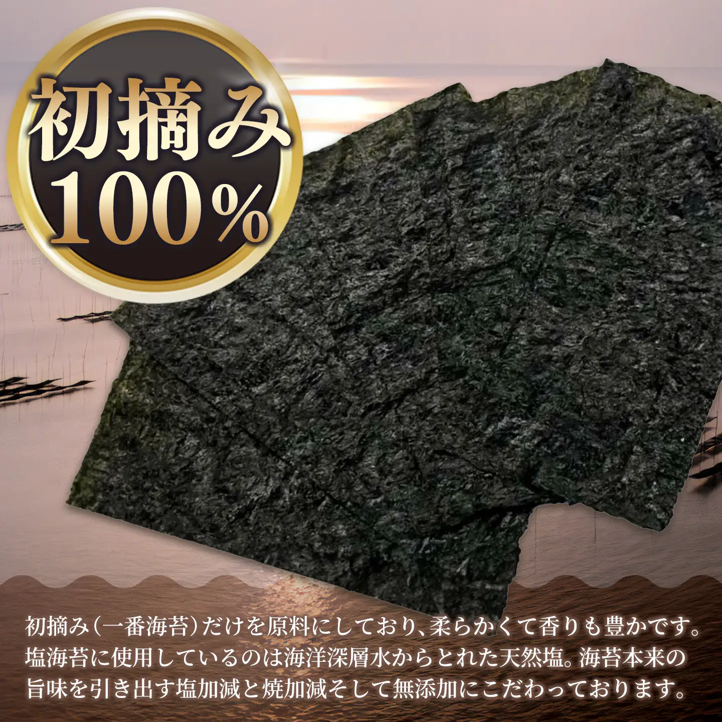 【スピード発送】初摘み海苔 BK-375(H029125)