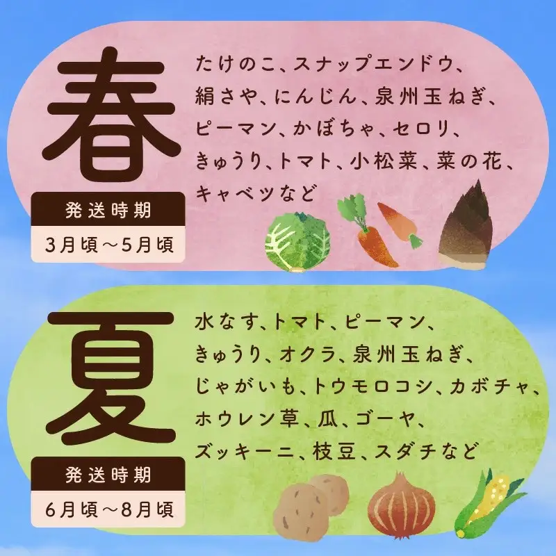 泉州野菜 定期便 7種類×全6回【毎月配送コース】