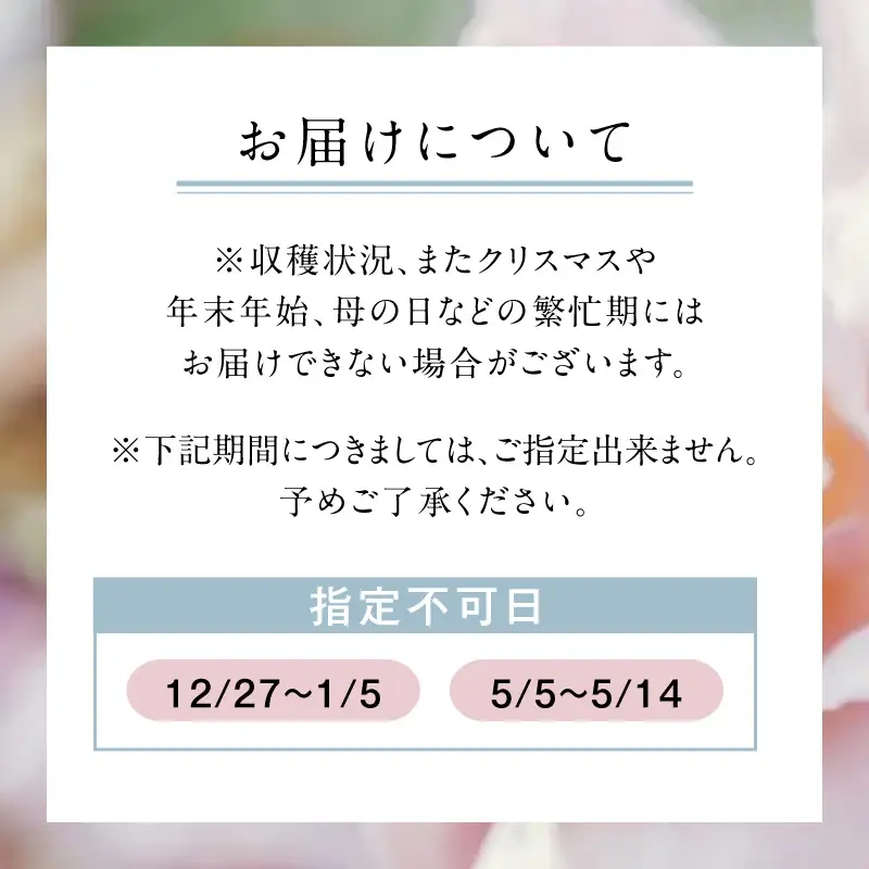 わばら束 10本 Rose Farm KEIJI　WABARA 和ばら バラ 花束 冷蔵 贈り物 Rose Universe AT-0004