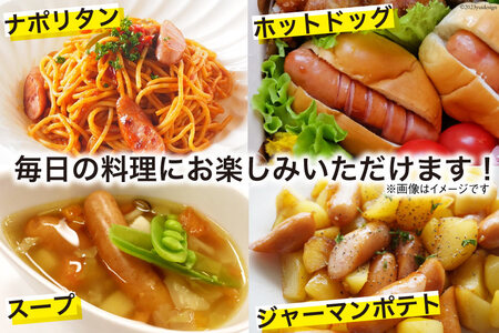 日本ハム 薫の詩 ウインナー 145g×20袋 [日本ハムマーケティング 宮崎県 日向市 452060957]