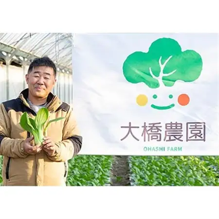 大橋農園のベビーチンゲン菜:3株入り×8袋【配送不可地域：離島】【1366726】