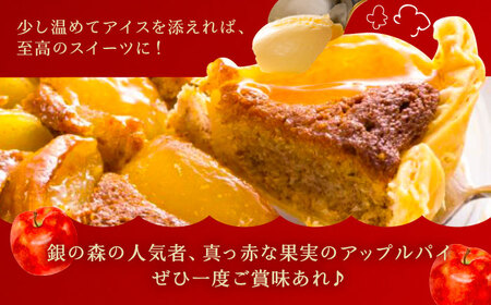 アップルパイと銀の森コーヒーセット / 恵那市 / 銀の森 [AUBG020]