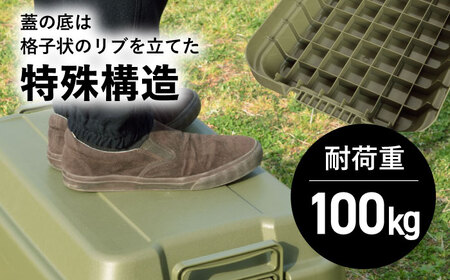 アウトドア 収納 ケース  Lサイズ／グリーン／1個 /  恵那市 / 東谷 [AUAD023] 収納