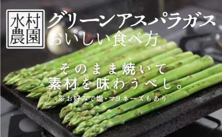 《令和8年産》飛騨のごちそうアスパラガス L-2L 1.0kg アスパラガス [B0200] syun78 