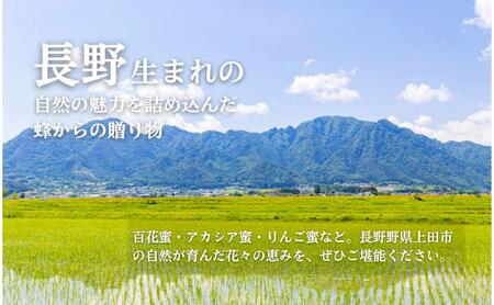 はちみつ  国産 生はちみつ アカシア リンゴ 百花 600g 3本 セット 非加熱 蜂蜜