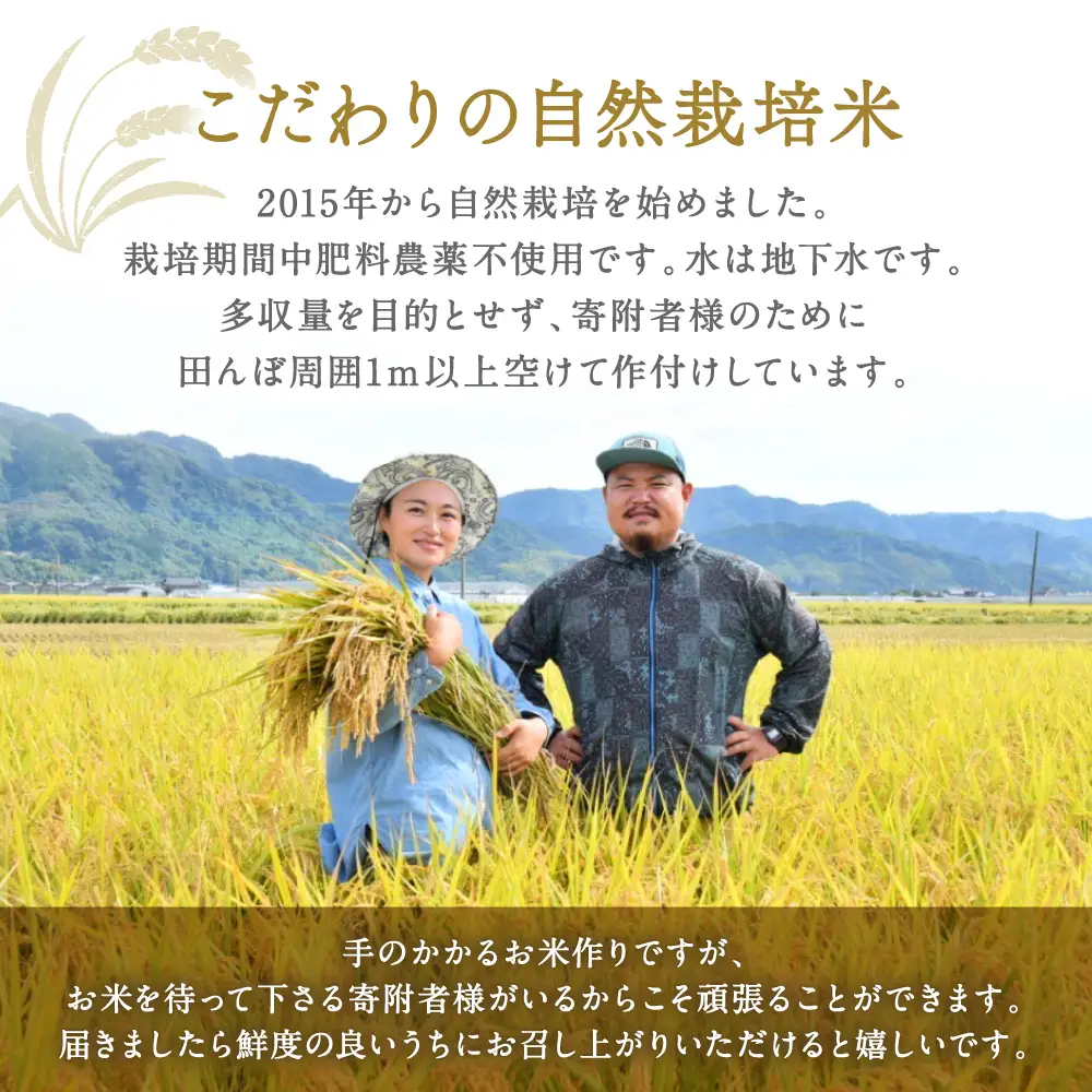 《令和7年産》 自然栽培米 くらら 精米 5kg （八代産ヒノヒカリ）