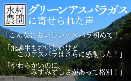 《2026年 先行予約》柔らか甘いアスパラガス アスパラ アスパラガス L~2L 5kg 大容量 [F0035x] 56000円
