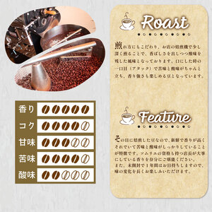 【下関 コーヒー豆 中挽き】ウミノネ珈琲 コーヒー豆800g ブラジル EW