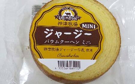 【神津牧場】ミニバームクーヘン10個セット こだわり ジャージー牛乳 手土産 おやつ デザート スイーツ F21K-306