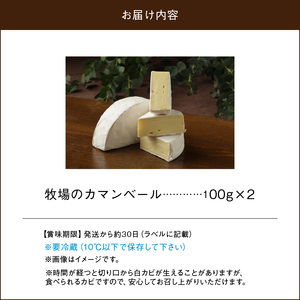 チーズ工房のナチュラルチーズ　牧場のカマンベール100g×2 カマンベールチーズ 国産 ナチュラルチーズ カマンベールタイプ ディップソース ウイスキー 赤ワイン 北海道 浜中町 お取り寄せ 加工品 食品 冷蔵配送 送料無料_H0003-103
